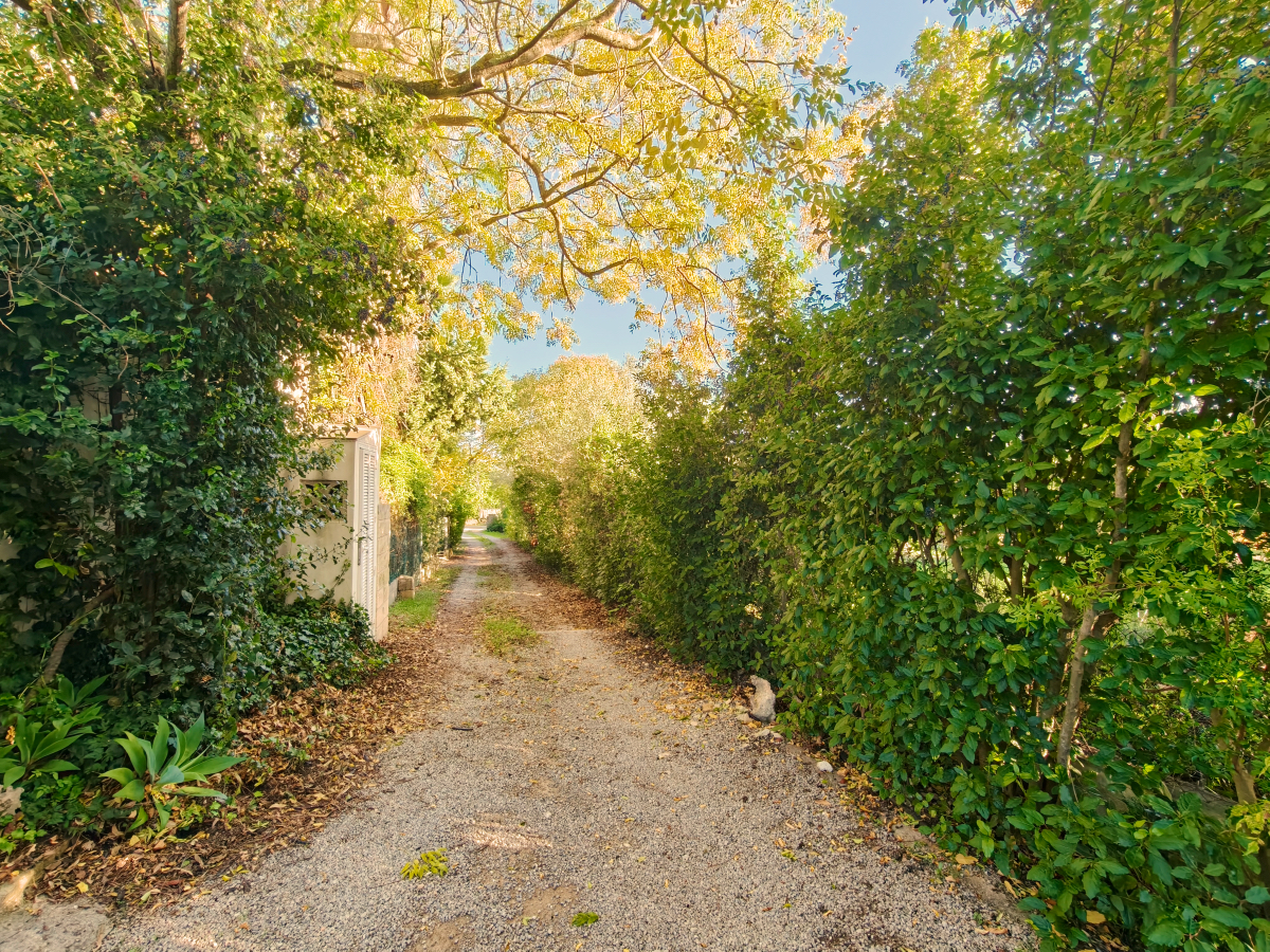 Charmante Villa in Pollença mit touristischer Vermietungslizenz zu verkaufen