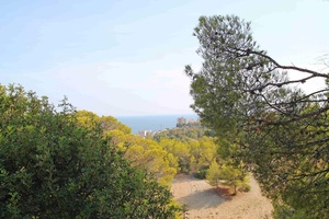 21-villa-in-erster-meeresline-santa-ponca-villa-in-first-sea-line-santa-ponca-chalet-en-primera-linea-de-mar.jpg