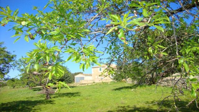 17-luxus-reihenhaus-in-santa-ponsa-mit-meerblick-luxury-town-house-in-santa-ponsa-mar-del-sur-wit-sea-views-lujosa-casa-adosada-con-vistas-al-mar.jpg