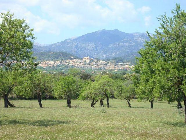 31-luxus-reihenhaus-in-santa-ponsa-mit-meerblick-luxury-town-house-in-santa-ponsa-mar-del-sur-wit-sea-views-lujosa-casa-adosada-con-vistas-al-mar.jpg