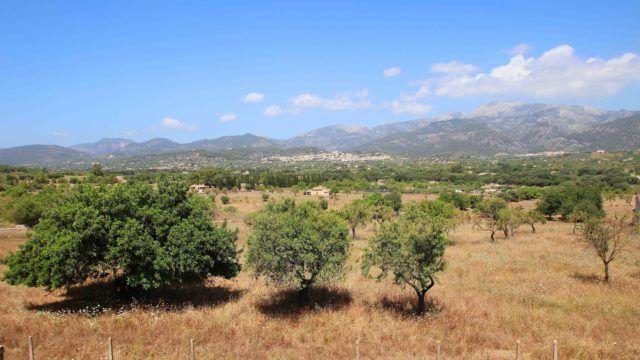 05-luxus-reihenhaus-in-santa-ponsa-mit-meerblick-luxury-town-house-in-santa-ponsa-mar-del-sur-wit-sea-views-lujosa-casa-adosada-con-vistas-al-mar.jpg