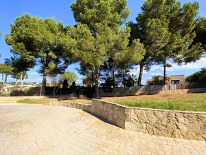 0ecc3bd8-b67b-47bc-b035-5da7858e4cd4.jpg