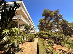 Mallorca_apartment_for_sale_Sol_De_Mallorca19.jpg