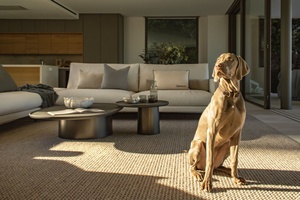 Mallorca_villa_sale_sell_buy_Santa Ponsa_kaufen_sea_5.jpeg