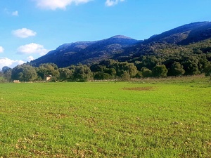 INVESTMENT: Huge construction plot in Alcudia