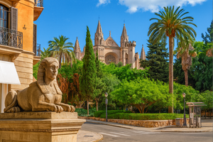 Mallorca Apartment for Rent in the Heart of Palma's Old Town